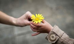 آیا مهربانی نشانه بلوغ است ؟